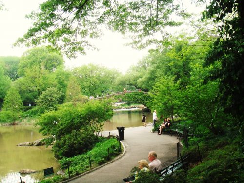 Central Park Vegetação e rio no interior do Central Park