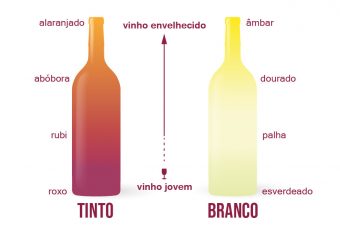 Como harmonizar vinhos: guia rápido com dicas úteis