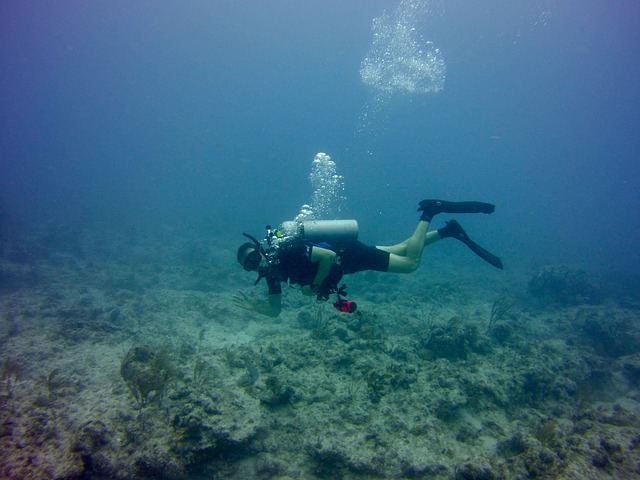 Mergulho em Islamorada Mergulho em Florida Keys
