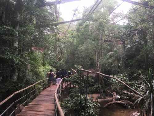 Parque das Aves Interior do Parque das Aves em Foz do Iguaçu