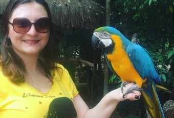 Você precisa conhecer Foz do Iguaçu