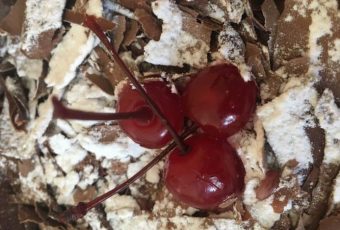 Bolo Floresta Negra: a receita original alemã