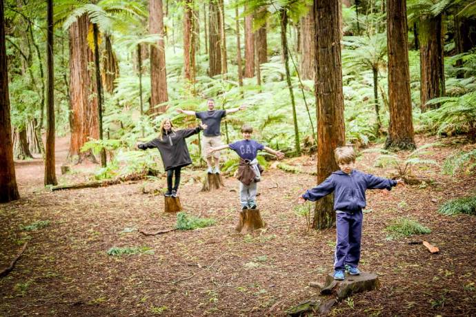 Família passeando pelas florestas da Nova Zelândia