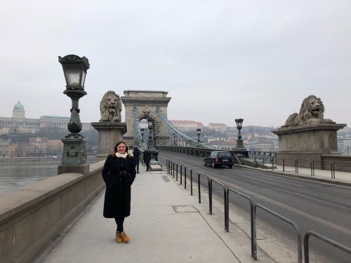 Ponte Chain Arquitetura da Ponte Chain em Budapeste