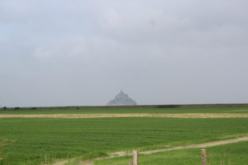 Monte Saint-Michel e a paisagem da Normandia Paisagem típica da Normandia com o Monte Saint-Michel de fundo