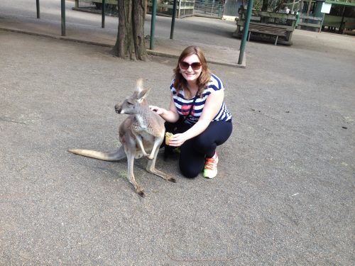 Canguru da Austrália Turista com canguru, em Sydney