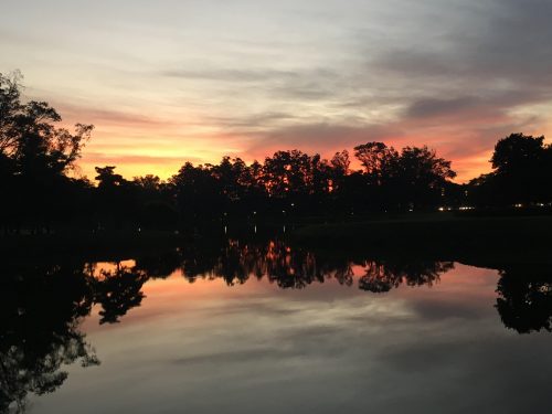 Natureza em São Paulo Pôr do sol refletindo no lago