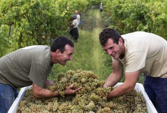 Enotrip em Portugal: de carro, as melhores vinícolas