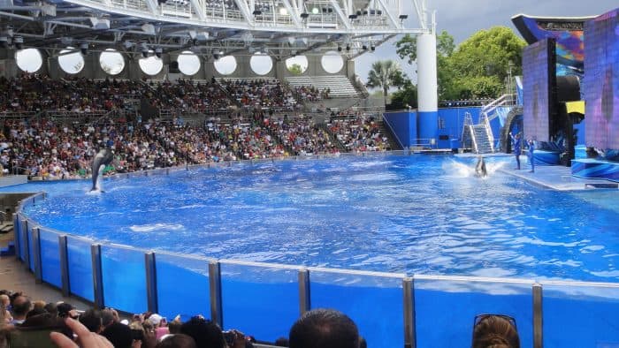 Baleias do Sea World tanque com baleia ao fundo e plateia em arquiancada