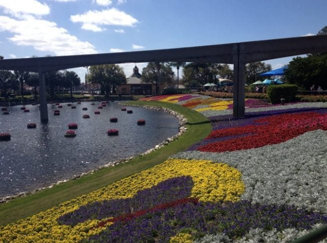 Flores do Epcot jardins coloridos e lago na lateral