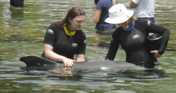 Instrutora e aluna com golfinho