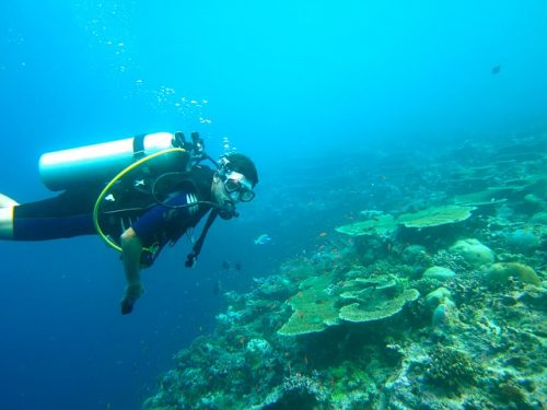 Mergulho no mar Mergulho nas Maldivas