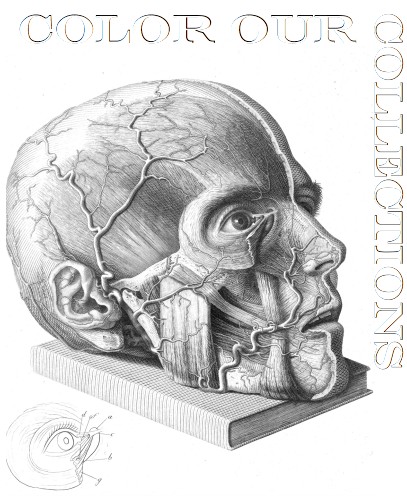 desenho para colorir de uma cabeça desenho para colorir de uma cabeça