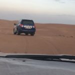 Safári no deserto em Dubai, com jantar e dança nashaat
