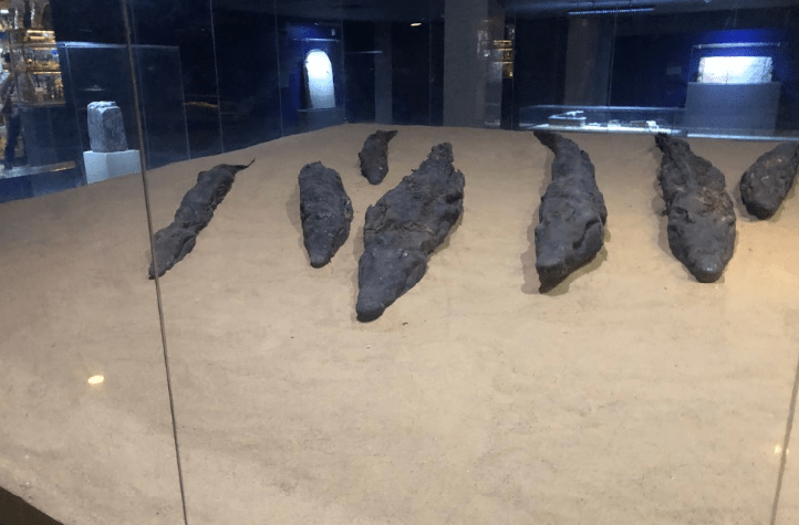 Mumificação do crocodilo