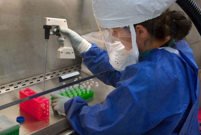cientistas ainda buscam criar uma vacina contra o coronavírus