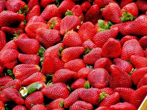 Mercadão São Paulo Mercadão São Paulo