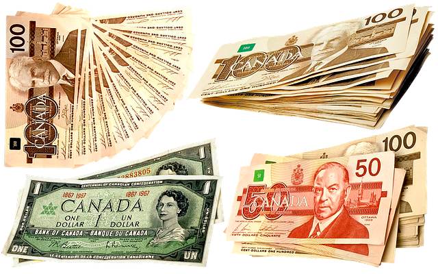 dinheiro canadense Como é o dólar canadense