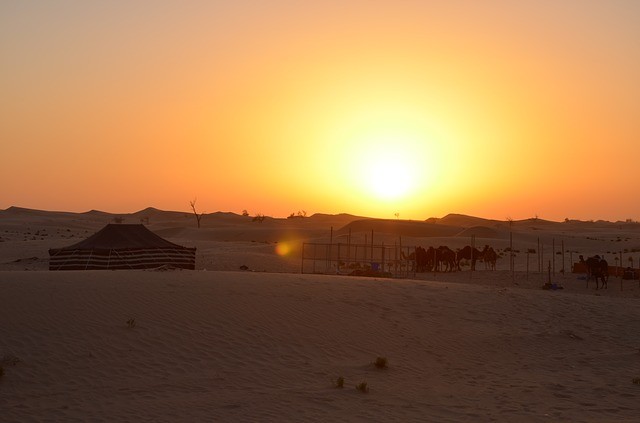 safari no deserto dubai fazenda de camelos Abu Dhabi
