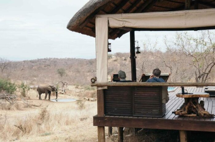 Animais selvagens perto de hotel na áfrica