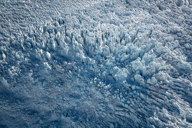 Glacial de Franz Josef Mount Cook