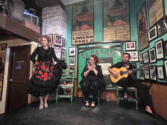 Apresentação de flamenco em Jerez de La Frontera