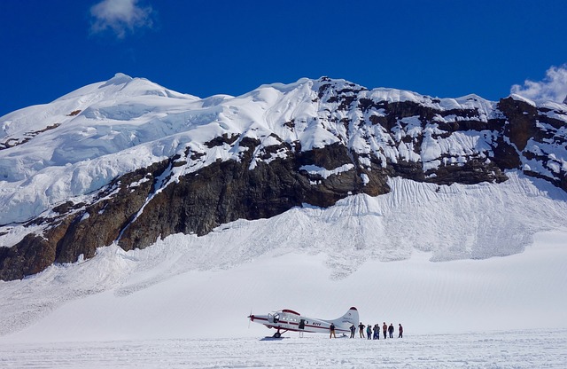 Denali park 