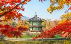 Roteiro para a Coreia do Sul: experiência sob medida