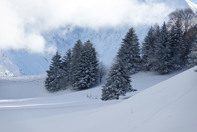 Les 2 Alpes