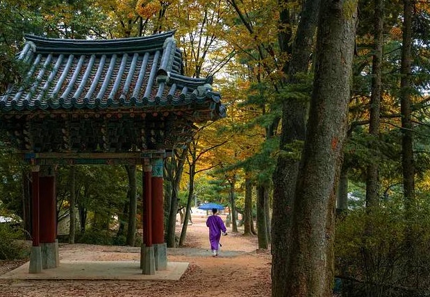 viagem para a coreia do sul