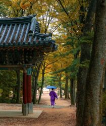 Como planejar uma viagem à Coreia do Sul: 10 dicas essenciais