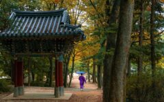 Como planejar uma viagem à Coreia do Sul: 10 dicas essenciais