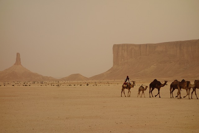 O que fazer na arabia saudita