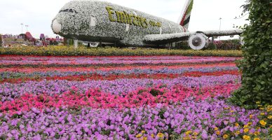 lua de mel em dubai 2022