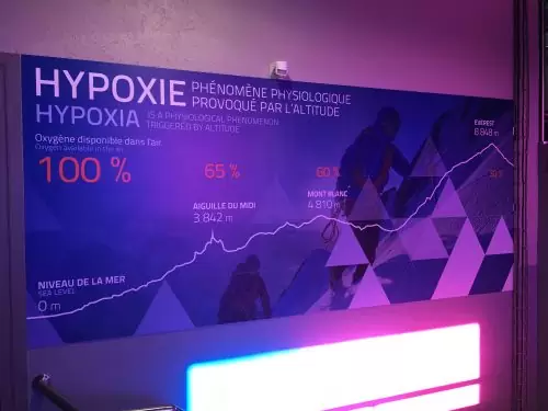 Informação sobre oxigênio no Mont Blanc Quadro mostrando a capacidade pulmonar durante a subida para Mont Blanc