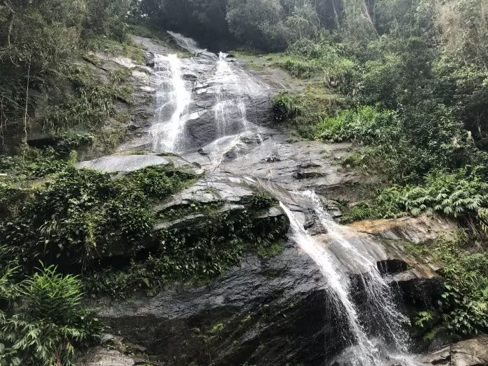 Água escorrendo pelas pedras em meio a floresta