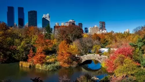 foto do Central Park no outono