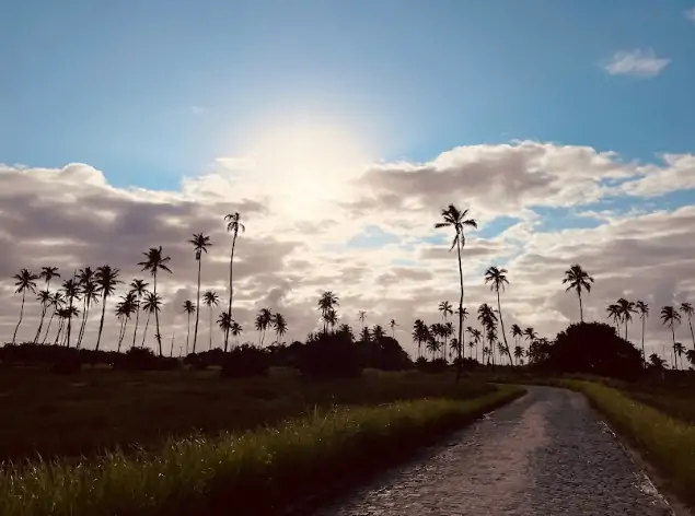 viagem para Porto de Galinhas com crianças viagem para Porto de Galinhas com crianças